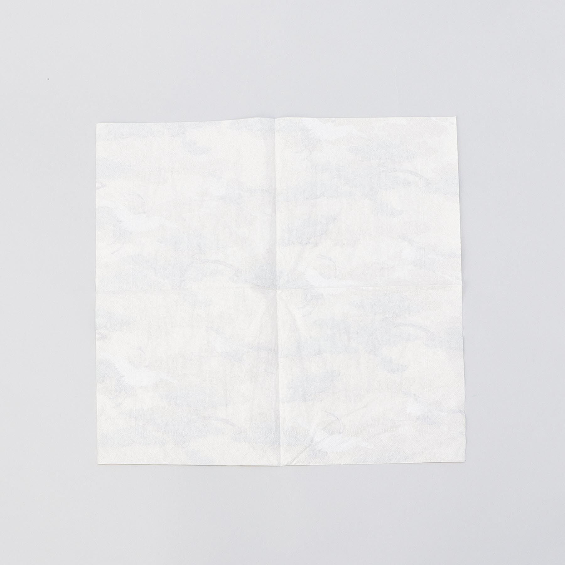 212 KITCHEN STORE「カスパリペーパータオル 10枚 クレインズ GD」|食器・キッチングッズ|