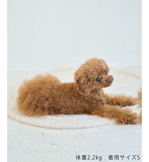 ROPE PICNIC PASSAGE「【DOG】襟付きデニムワンピース」|その他|