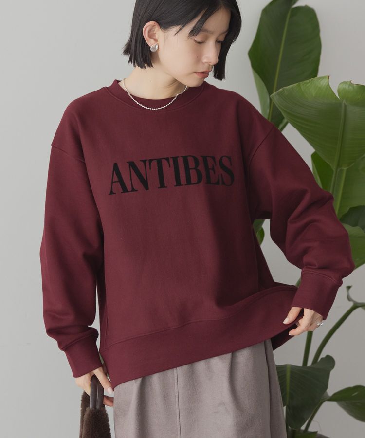 AMERICAN HOLIC「Fairfield フロッキースウェットプルオーバー」|スウェット・ジャージ|