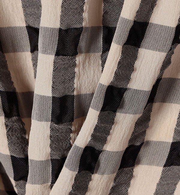 SHIPS any「《予約》SHIPS any:〈洗濯機可能〉ギンガムチェック サッカー タイト スカート」|スカート|