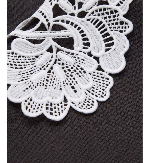 VIS「レースカラーニットプルオーバー/イージーケア」|ニット・セーター|