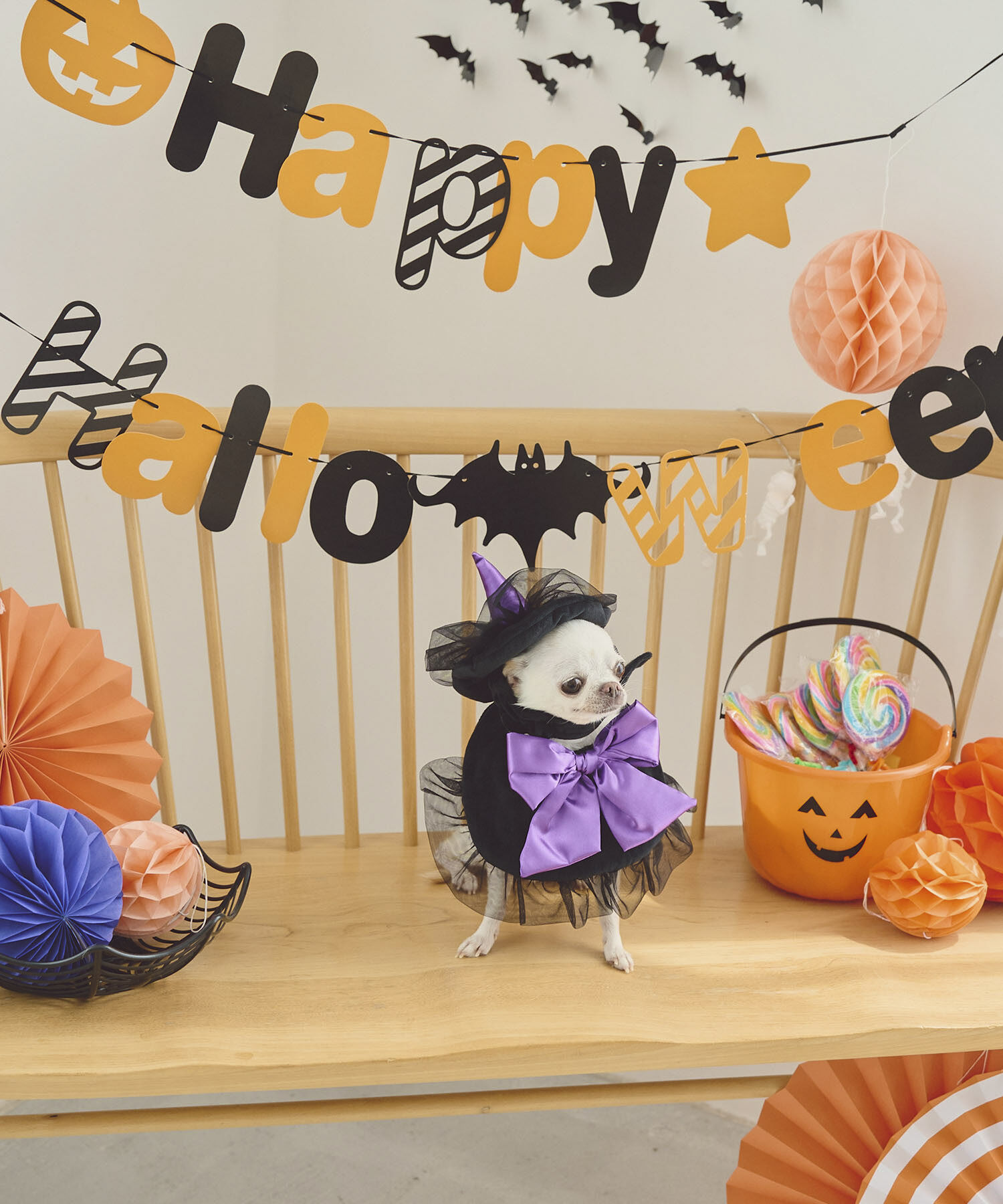 ROPE PICNIC PASSAGE「【DOG】ハロウィン魔女セット」|その他|