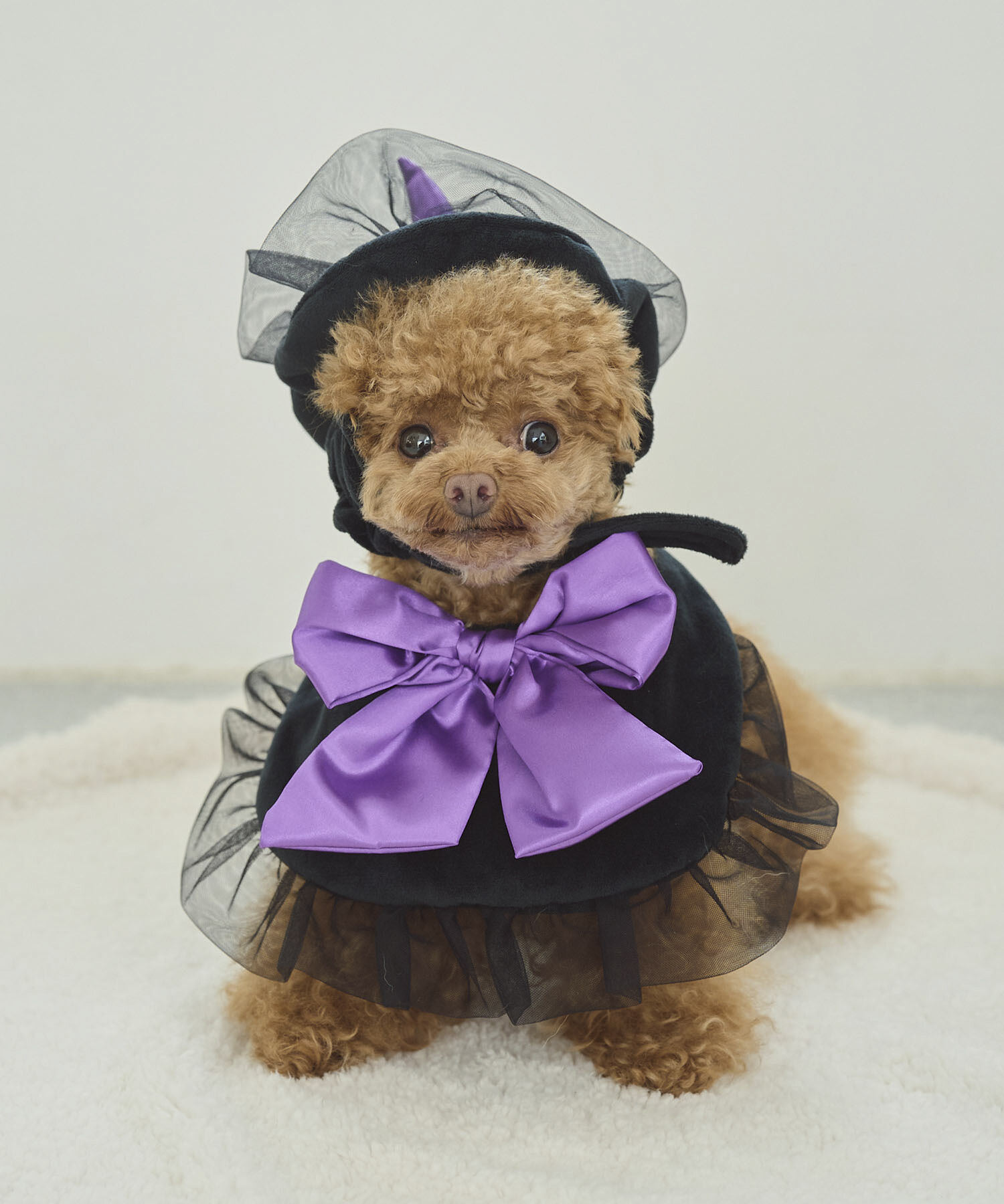 ROPE PICNIC PASSAGE「【DOG】ハロウィン魔女セット」|その他|