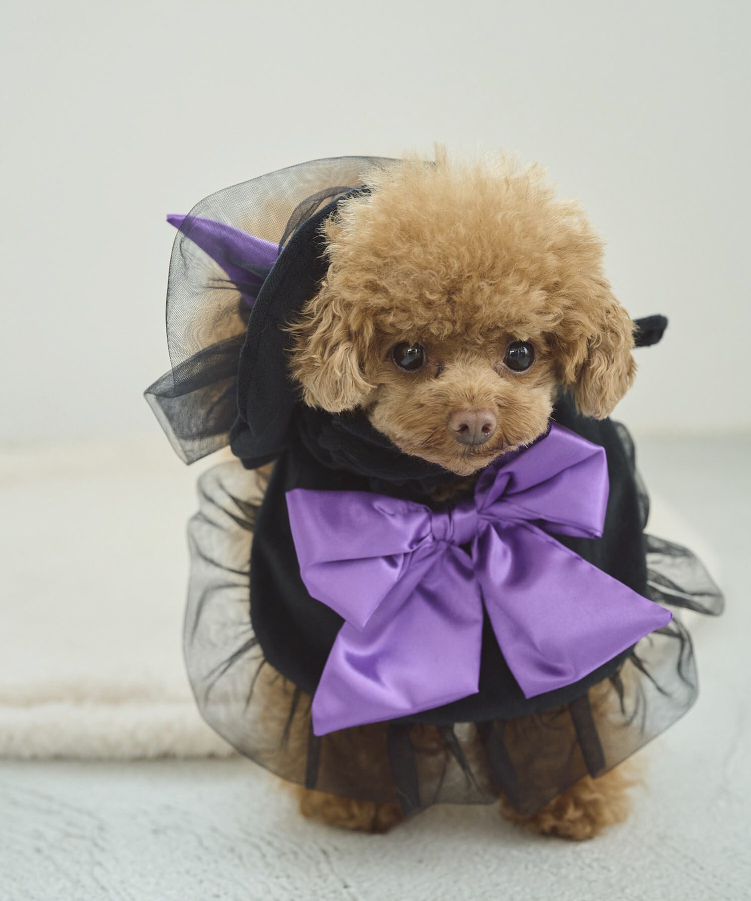 ROPE PICNIC PASSAGE「【DOG】ハロウィン魔女セット」|その他|