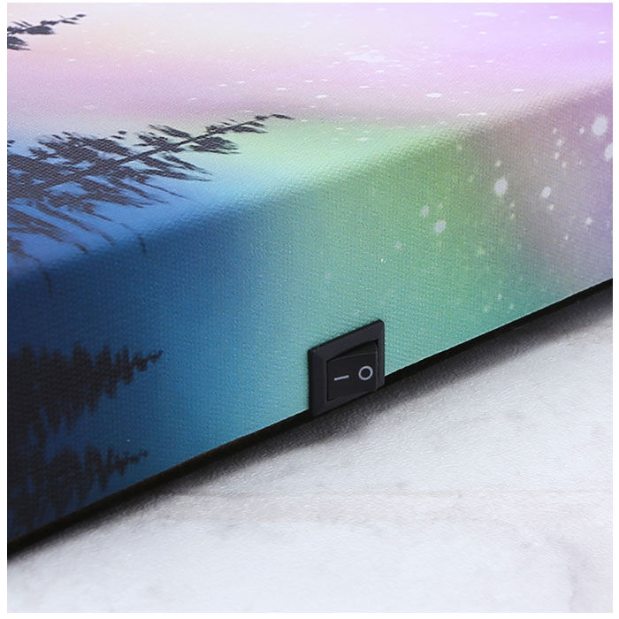 BACKYARD FAMILY「茶谷産業 LED キャンパスアート 通販 LEDキャンパスアート アートパネル パネル オブジェ」|その他|