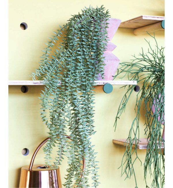 journal standard Furniture「【Brown./ブラウン】タッセルシダ グリーン」|その他|グリーン