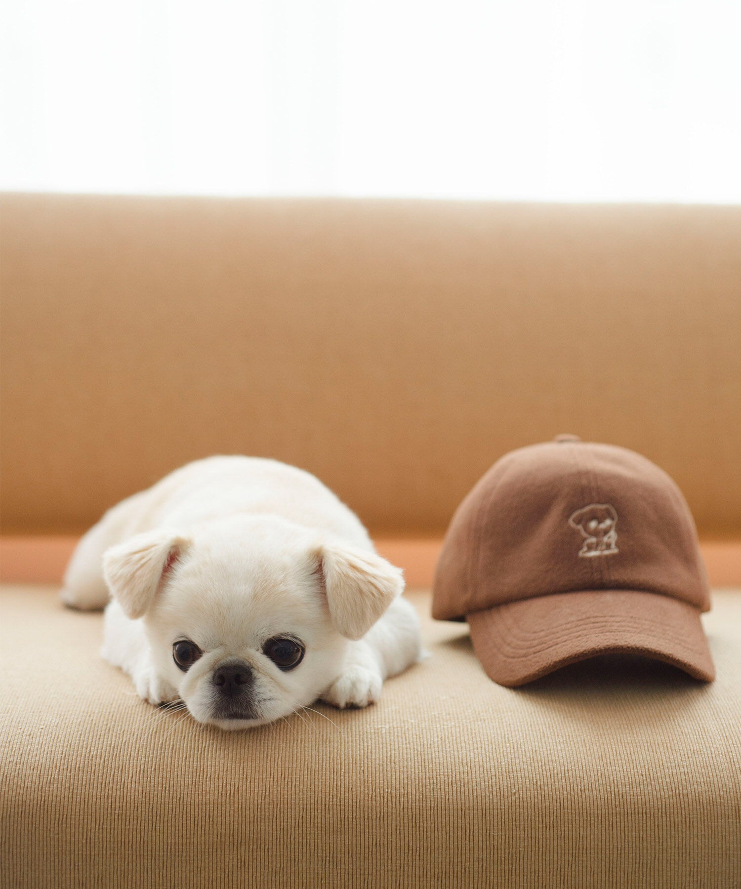 ROPE PICNIC PASSAGE「【一部店舗限定】おもちくん&times;ROPE' PICNIC/刺繍フリースキャップ」|キャップ・キャスケット|