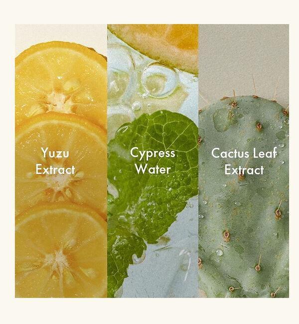 Rouge vif「【一部店舗限定】【anillo/アニーロ】アンバー528ハンド＆ボディウォッシュ」|美容液・オイル・クリーム|