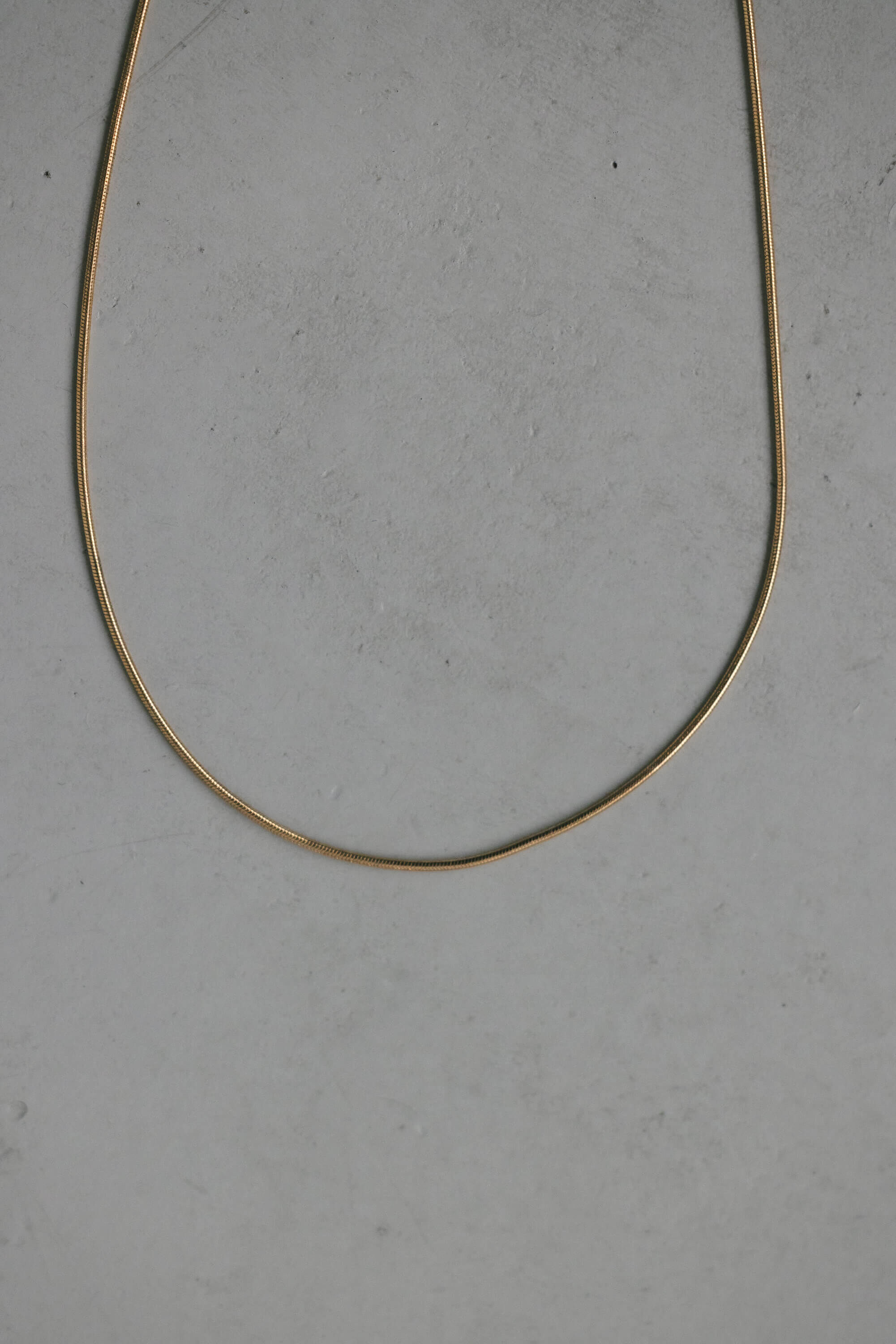 STYLEMIXER「ニュアンスモチーフスライドネックレス」|ネックレス|