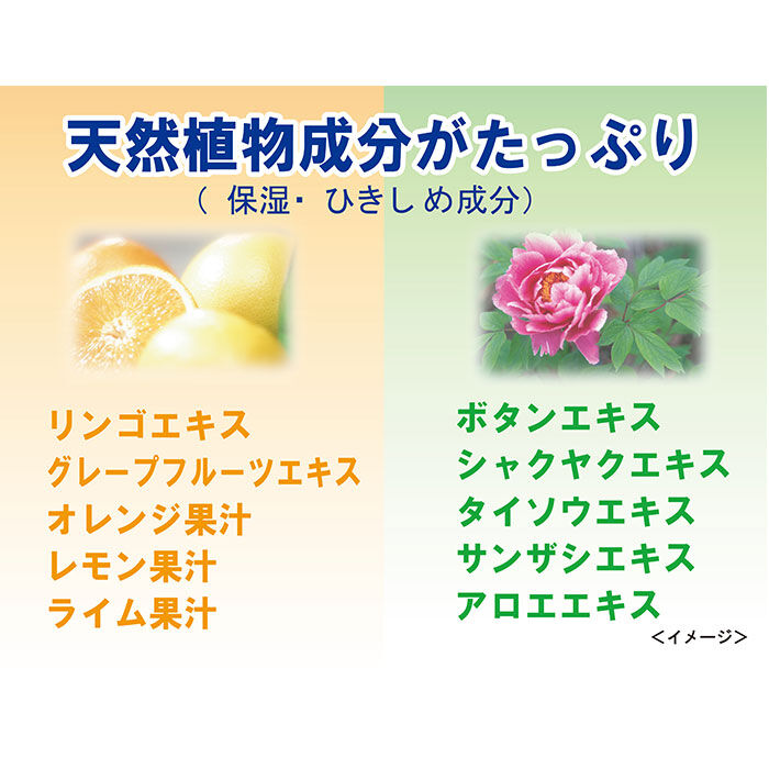 BACKYARD FAMILY「化粧水 通販 An Era アンエラ 日本 120mL ローション 天然弱アルカリ温泉水」|その他|