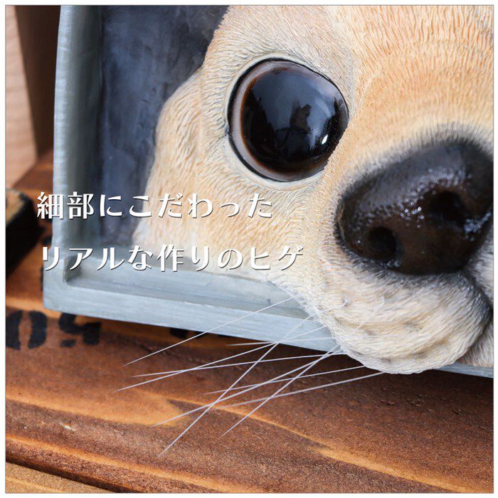 BACKYARD FAMILY「ベニーズ 犬 通販 Benny's QB-001 お手紙まつわん 庭 オーナメント 置物 オブジェ」|その他|