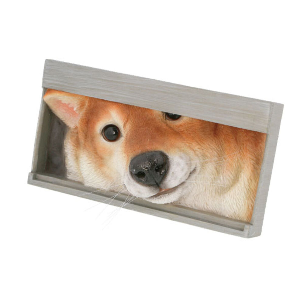 BACKYARD FAMILY「ベニーズ 犬 通販 Benny's QB-001 お手紙まつわん 庭 オーナメント 置物 オブジェ」|その他|その他2