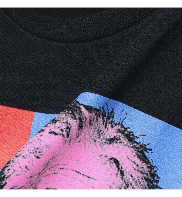 BEAMSBOY「Atlas Screen Printing / Einstein Tee」|Tシャツ・カットソー|