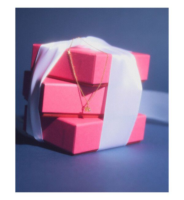 Ray BEAMS 「プチ エポ ラメ スター ネックレス」|ネックレス|GOLD