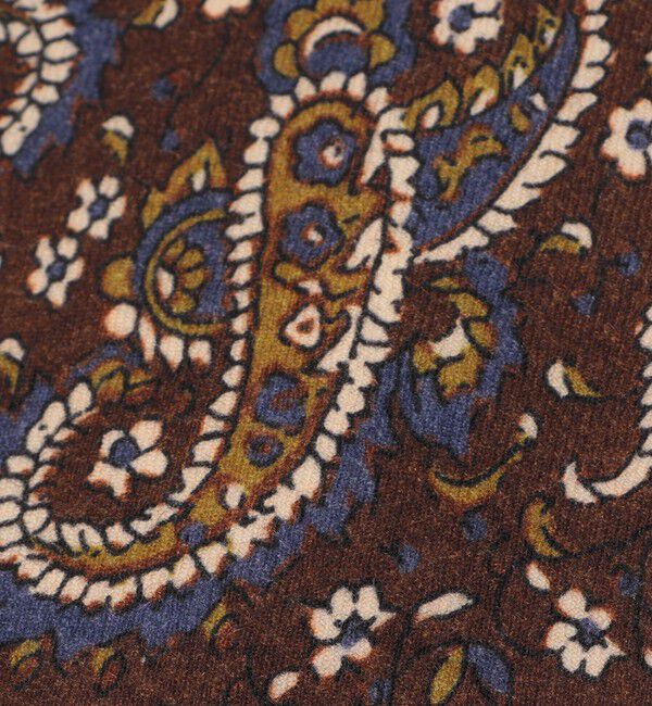 SHIPS「【SHIPS別注】Stefano Cau: ウール プリント フラワー ペイズリー ネクタイ」|ネクタイ・蝶ネクタイ|