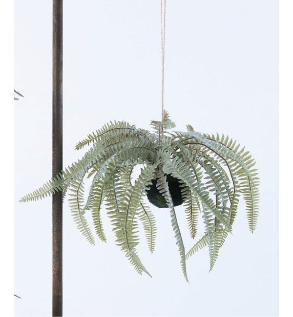 journal standard Furniture「【Brown./ブラウン】 ボストンファーン ハンギングボール 30 フェイクグリーン」|その他|グリーン