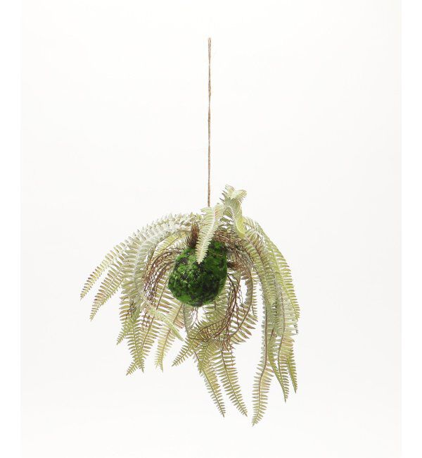 journal standard Furniture「【Brown./ブラウン】 ボストンファーン ハンギングボール 30 フェイクグリーン」|その他|