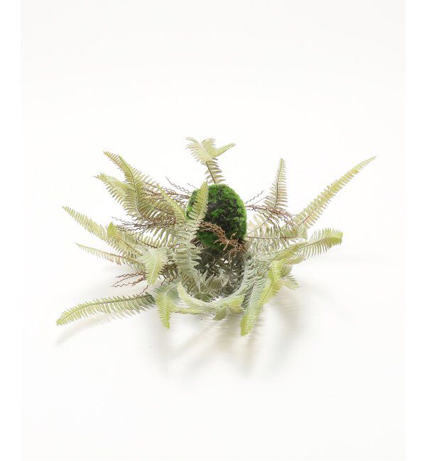 journal standard Furniture「【Brown./ブラウン】 ボストンファーン ハンギングボール 30 フェイクグリーン」|その他|