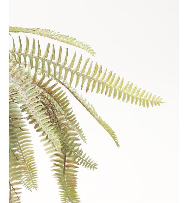 journal standard Furniture「【Brown./ブラウン】 ボストンファーン ハンギングボール 30 フェイクグリーン」|その他|