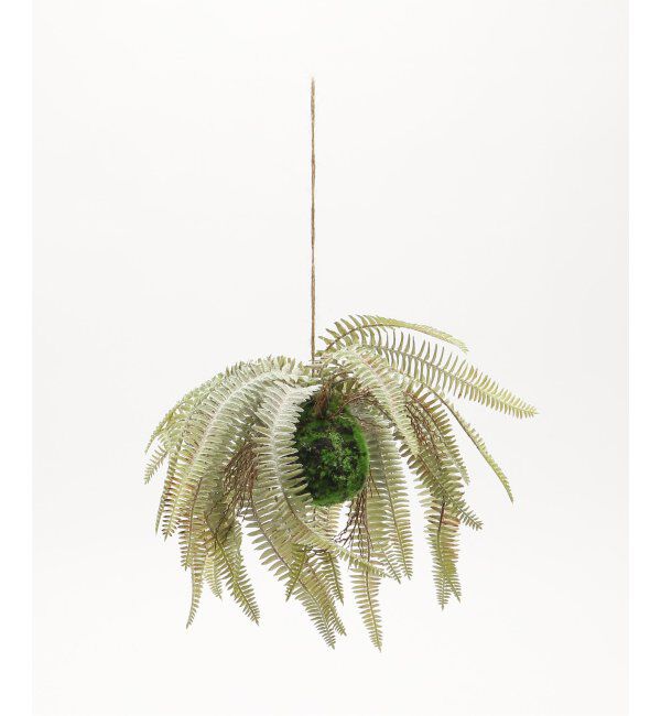 journal standard Furniture「【Brown./ブラウン】 ボストンファーン ハンギングボール 30 フェイクグリーン」|その他|