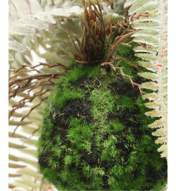 journal standard Furniture「【Brown./ブラウン】 ボストンファーン ハンギングボール 30 フェイクグリーン」|その他|