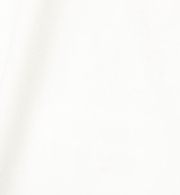 Rouge vif「【PARROTT CANVAS/パロットキャンバス】ヴィンテージS/S Tシャツ」|Tシャツ・カットソー|