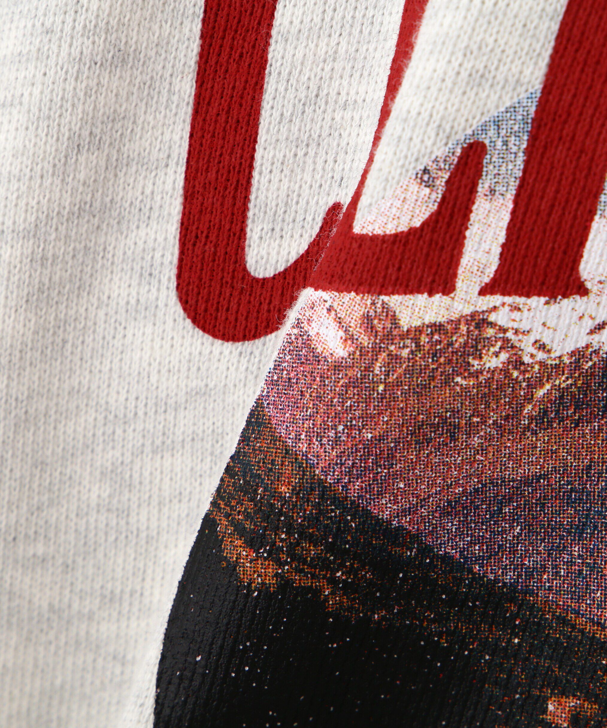  「マウンテンプリントビッグスウェット」|Tシャツ・カットソー|