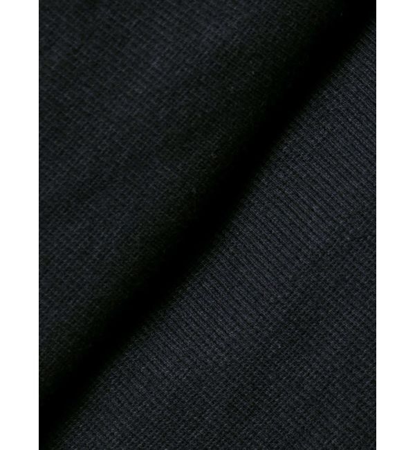 EMODA「プレートクロップトップ」|Tシャツ・カットソー|