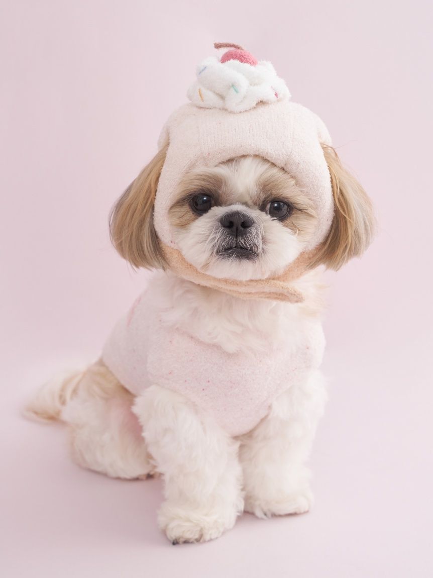  GELATO PIQUE CAT&DOG「【CAT&DOG】【Birthday】カップケーキハット」|その他|