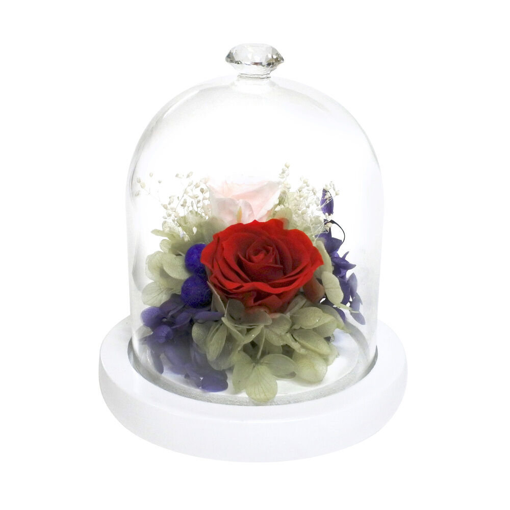 BACKYARD FAMILY「プリザーブドフラワー ガラスドーム 通販 モチーフドームアレンジメント アレンジメントフラワー」|その他|レッド1