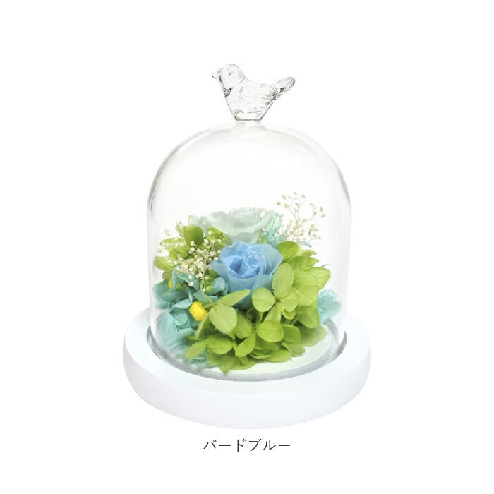 BACKYARD FAMILY「プリザーブドフラワー ガラスドーム 通販 モチーフドームアレンジメント アレンジメントフラワー」|その他|