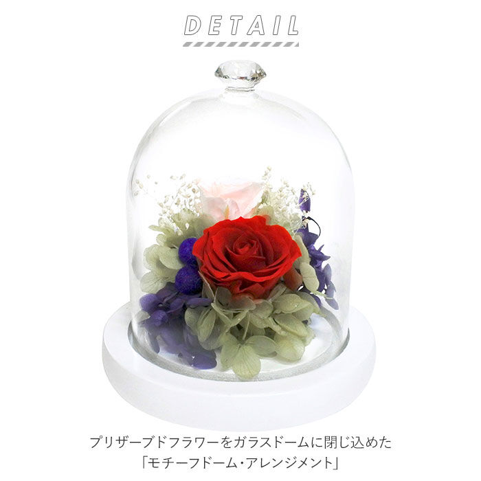 BACKYARD FAMILY「プリザーブドフラワー ガラスドーム 通販 モチーフドームアレンジメント アレンジメントフラワー」|その他|