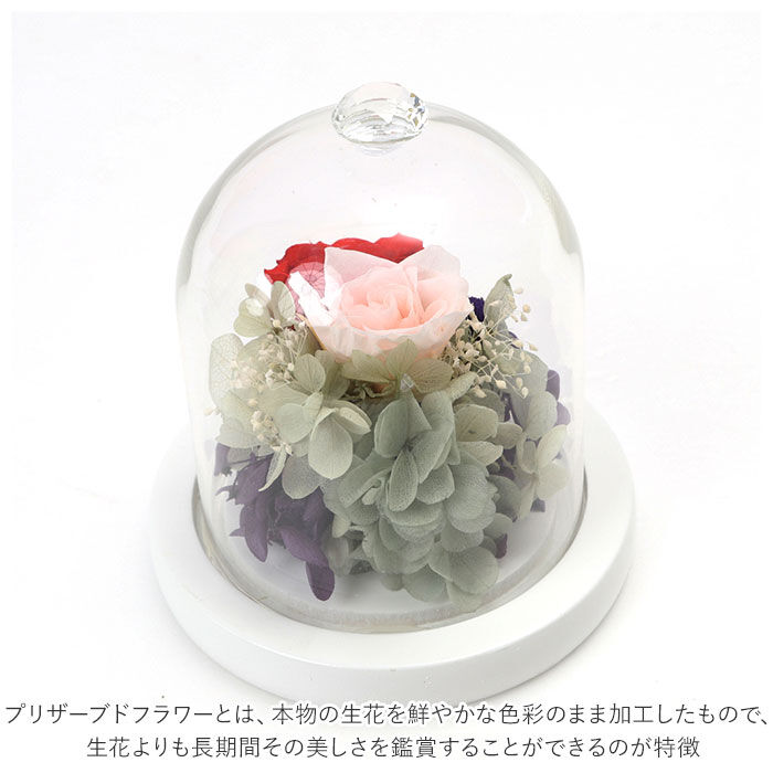 BACKYARD FAMILY「プリザーブドフラワー ガラスドーム 通販 モチーフドームアレンジメント アレンジメントフラワー」|その他|