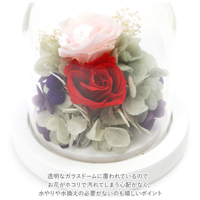 BACKYARD FAMILY「プリザーブドフラワー ガラスドーム 通販 モチーフドームアレンジメント アレンジメントフラワー」|その他|