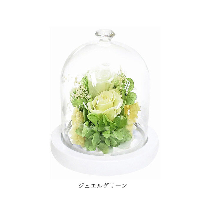 BACKYARD FAMILY「プリザーブドフラワー ガラスドーム 通販 モチーフドームアレンジメント アレンジメントフラワー」|その他|