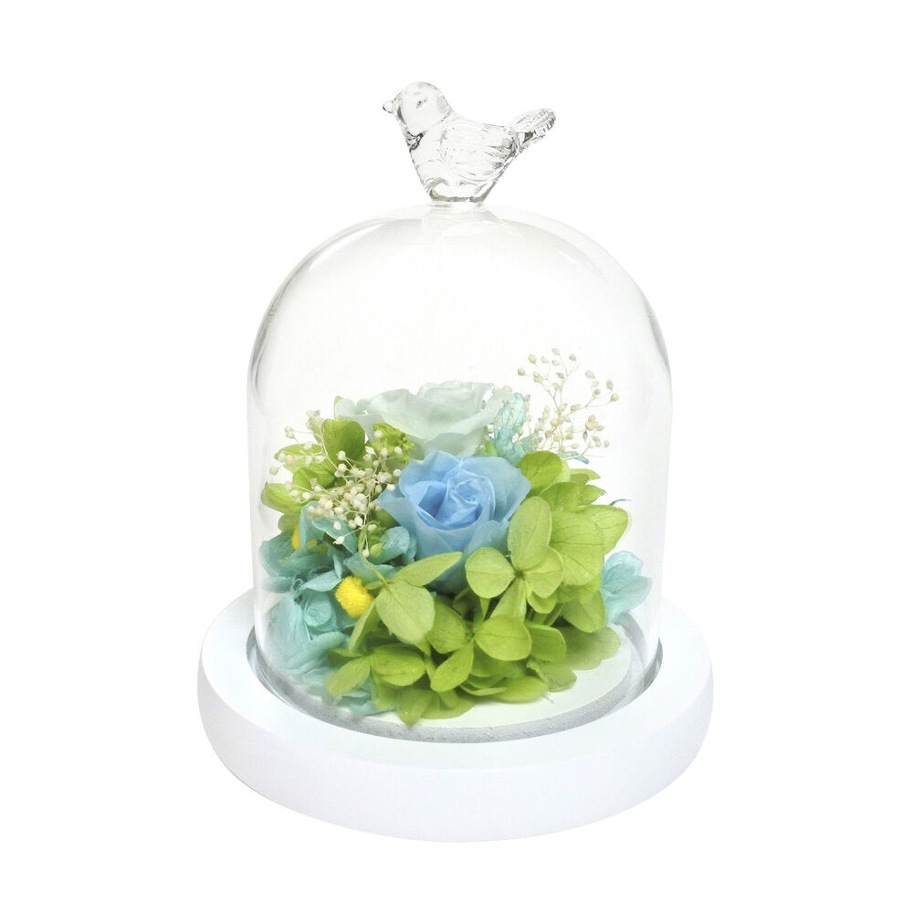 BACKYARD FAMILY「プリザーブドフラワー ガラスドーム 通販 モチーフドームアレンジメント アレンジメントフラワー」|その他|ブルー1