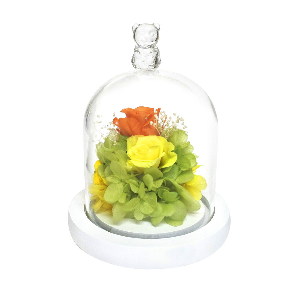 BACKYARD FAMILY「プリザーブドフラワー ガラスドーム 通販 モチーフドームアレンジメント アレンジメントフラワー」|その他|オレンジ1