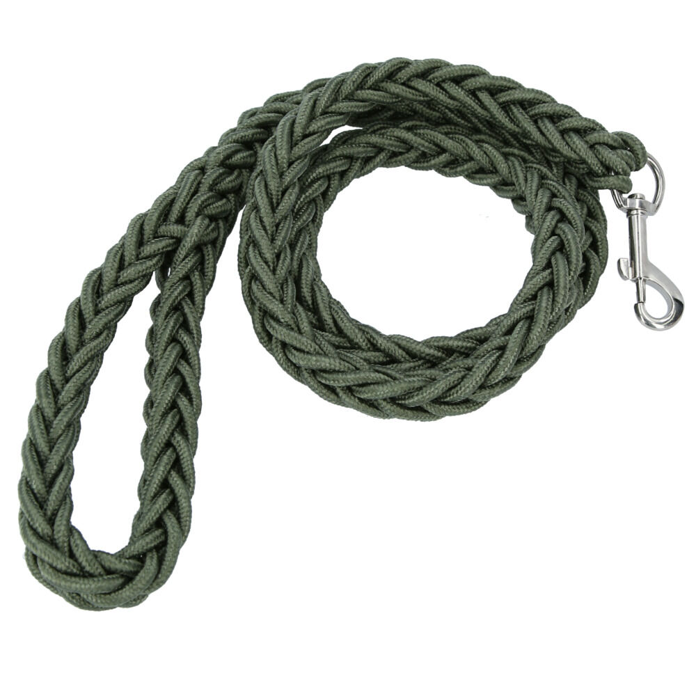 BACKYARD FAMILY「リード 犬 通販 小型犬 中型犬 大型犬 切れない イヌ いぬ 犬用リード 太め 握りやすい 軽量」|その他|グリーン1