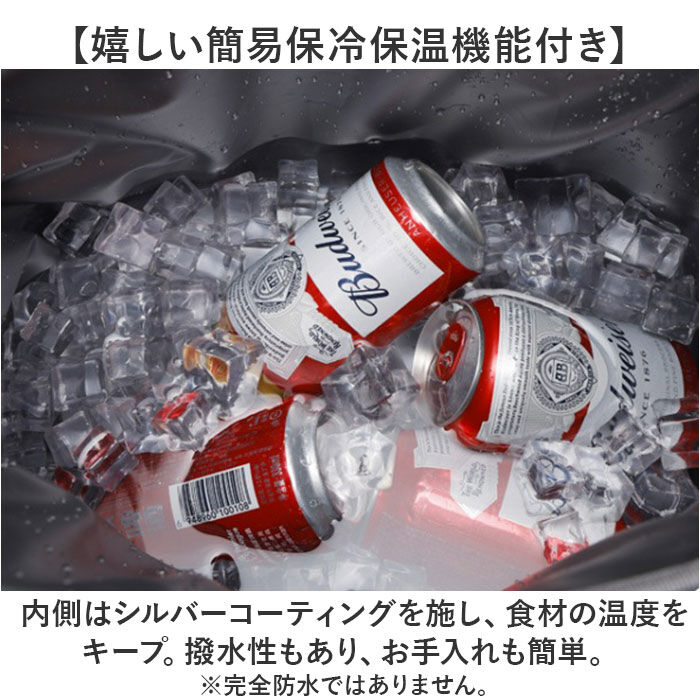 BACKYARD FAMILY「リュック 保冷 クーラーバッグ 通販 バックパック 保温 保冷リュック アウトドア」|その他|