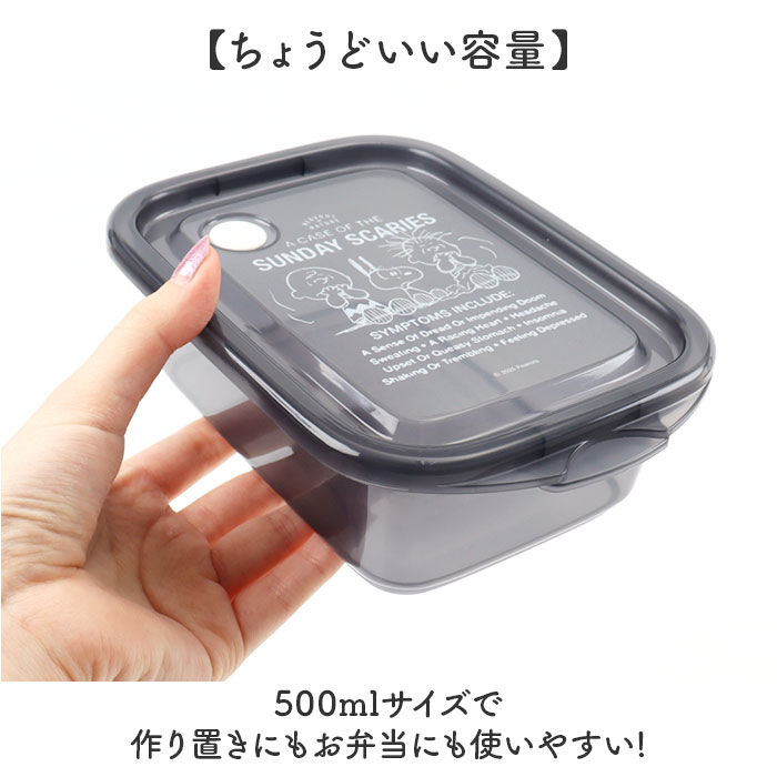 BACKYARD FAMILY「スケーター 保存容器 通販 日本製 フードコンテナ skater 弁当箱 お弁当箱 キャラクター」|食器・キッチングッズ|