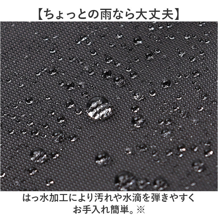 BACKYARD FAMILY「Lafiel バッグ ラフィール 2400-1 通販 リュック リュックサック バックパック」|リュック|