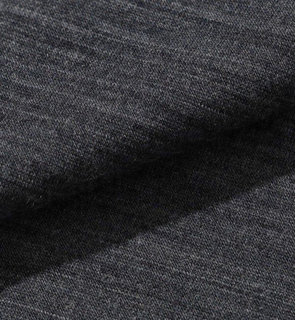 SHIPS「Southwick Gate Label: メリノ ウール Tシャツ」|Tシャツ・カットソー|