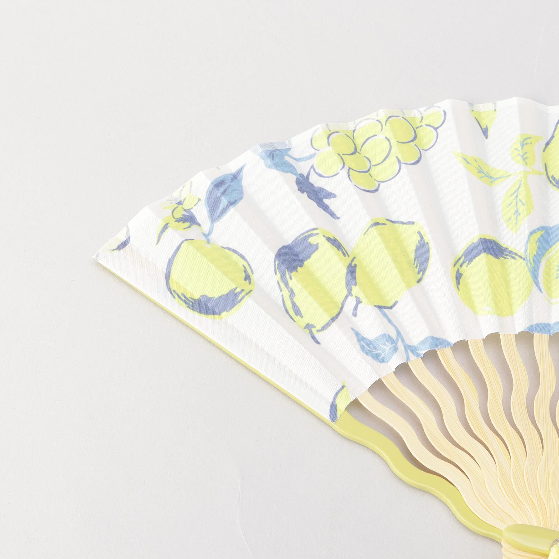 212 KITCHEN STORE「Wpc.GIFTBOX扇子 ウェーブ骨タイプ フルーツオフ」|その他|