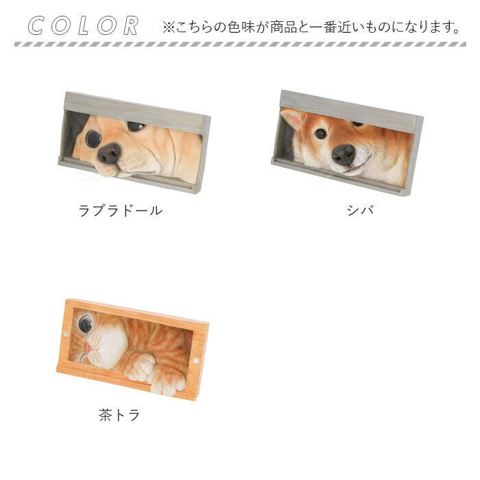 BACKYARD FAMILY「ベニーズ 犬 通販 Benny's QB-001 お手紙まつわん 庭 オーナメント 置物 オブジェ」|その他|