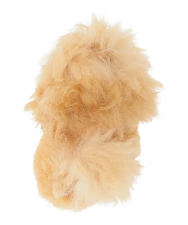 YECCA VECCA「COSY.LIONぬいぐるみ」|その他|