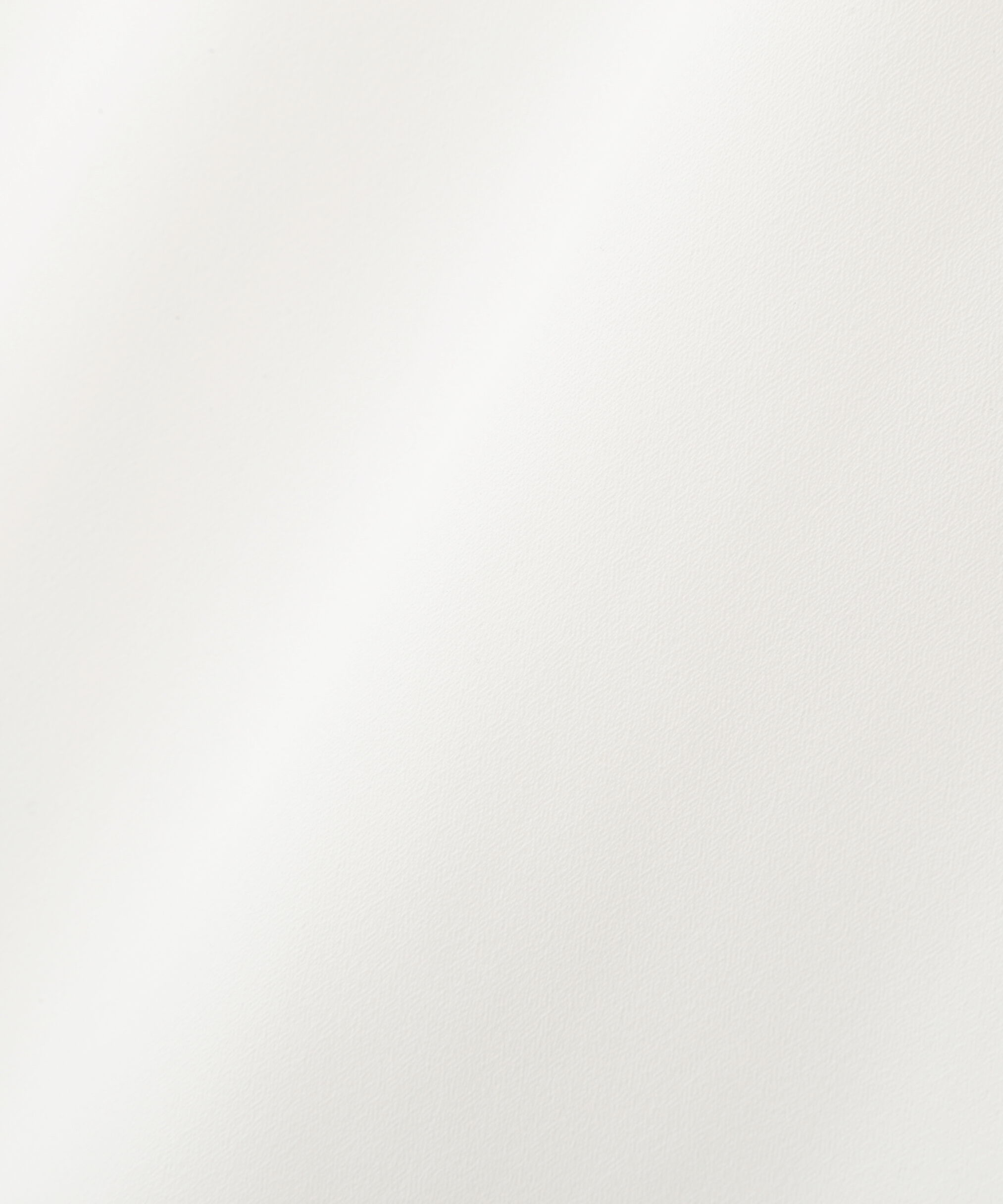 PROPORTION BODY DRESSING「半袖レイヤードブラウス」|シャツ・ブラウス|