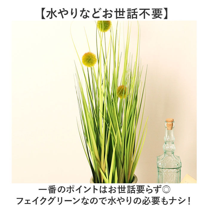 BACKYARD FAMILY「観葉植物 フェイク 大型 通販 フェイクグリーン ポンポングラス アーティフィシャルグリーン」|その他|