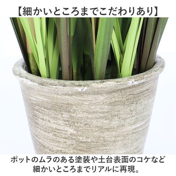BACKYARD FAMILY「観葉植物 フェイク 大型 通販 フェイクグリーン ポンポングラス アーティフィシャルグリーン」|その他|