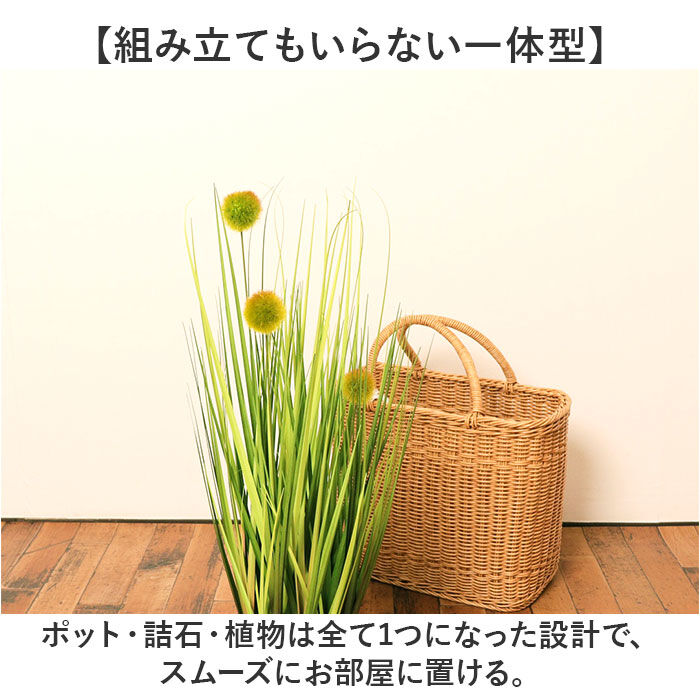 BACKYARD FAMILY「観葉植物 フェイク 大型 通販 フェイクグリーン ポンポングラス アーティフィシャルグリーン」|その他|