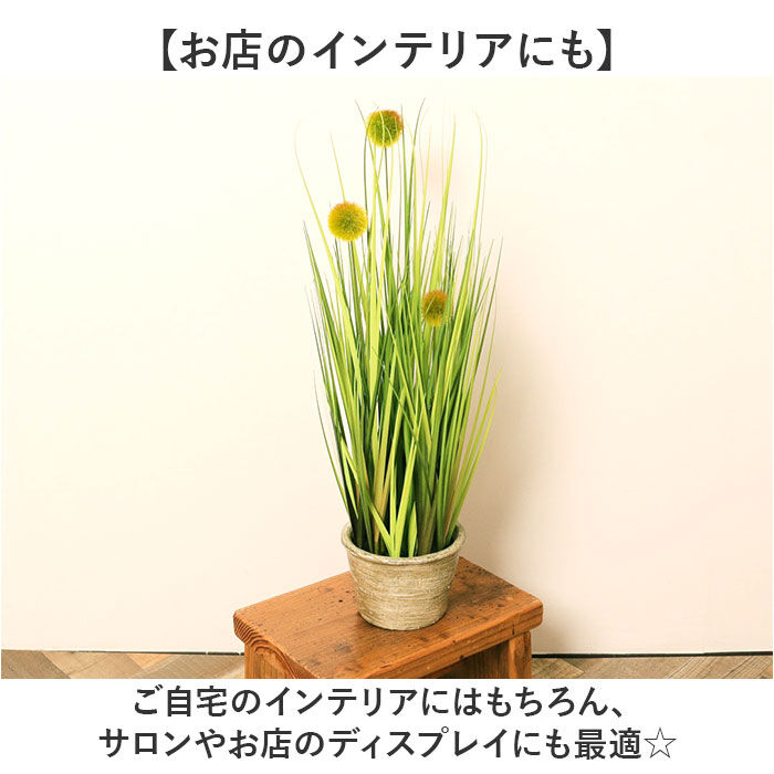BACKYARD FAMILY「観葉植物 フェイク 大型 通販 フェイクグリーン ポンポングラス アーティフィシャルグリーン」|その他|
